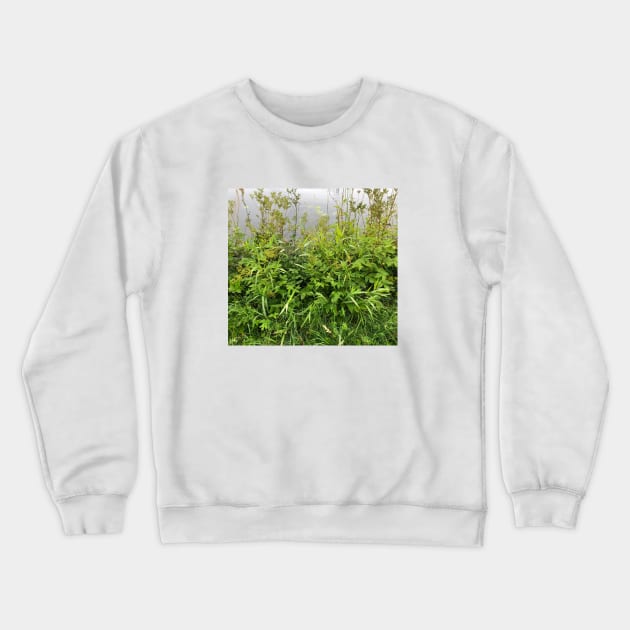 Grass & environment Crewneck Sweatshirt by Elena Akopian